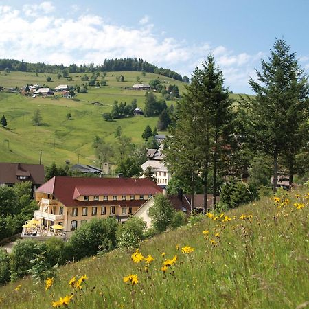 Gruener Baum Naturparkhotel & Schwarzwald-Restaurant ทอดท์เนา ภายนอก รูปภาพ