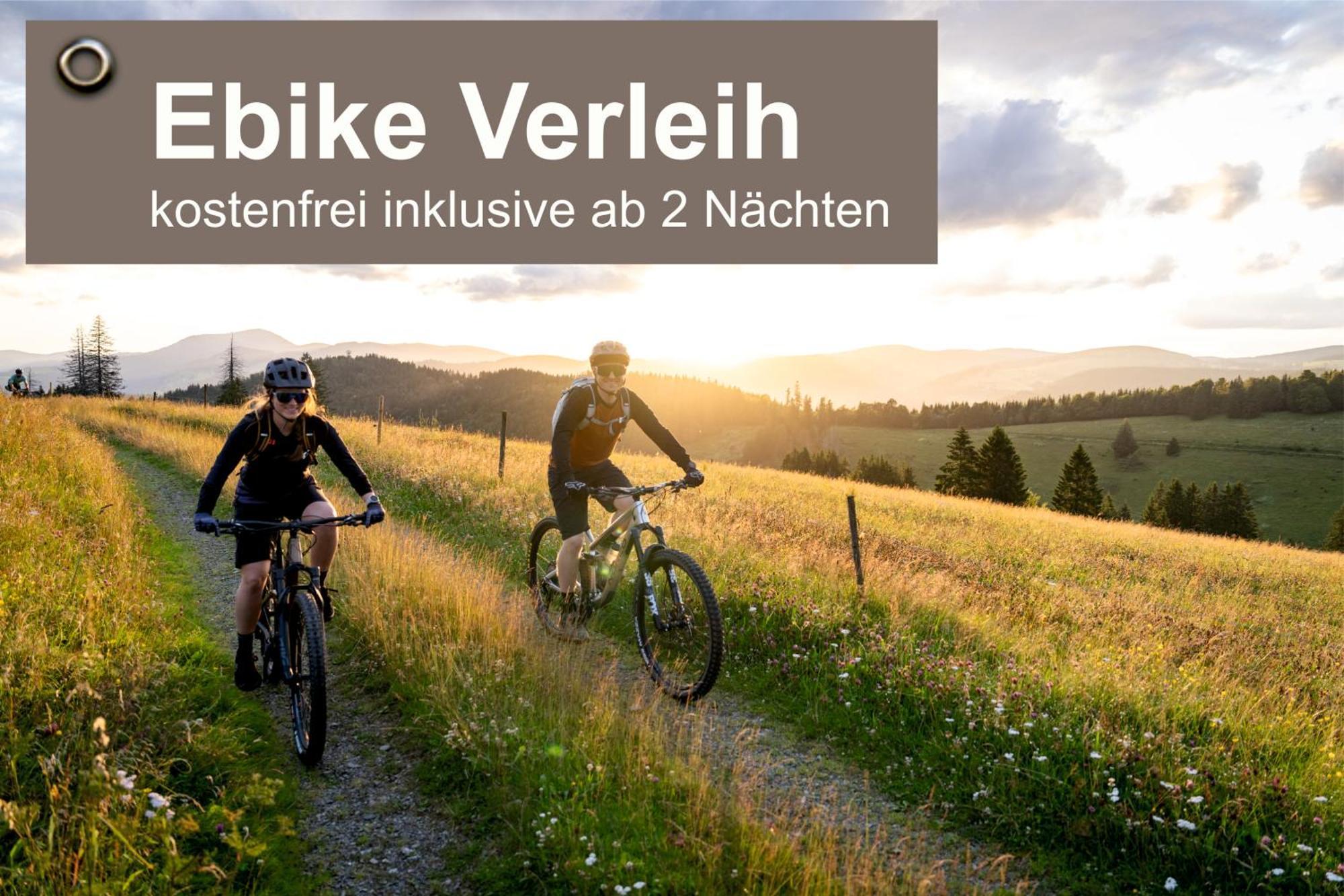 Gruener Baum Naturparkhotel & Schwarzwald-Restaurant ทอดท์เนา ภายนอก รูปภาพ