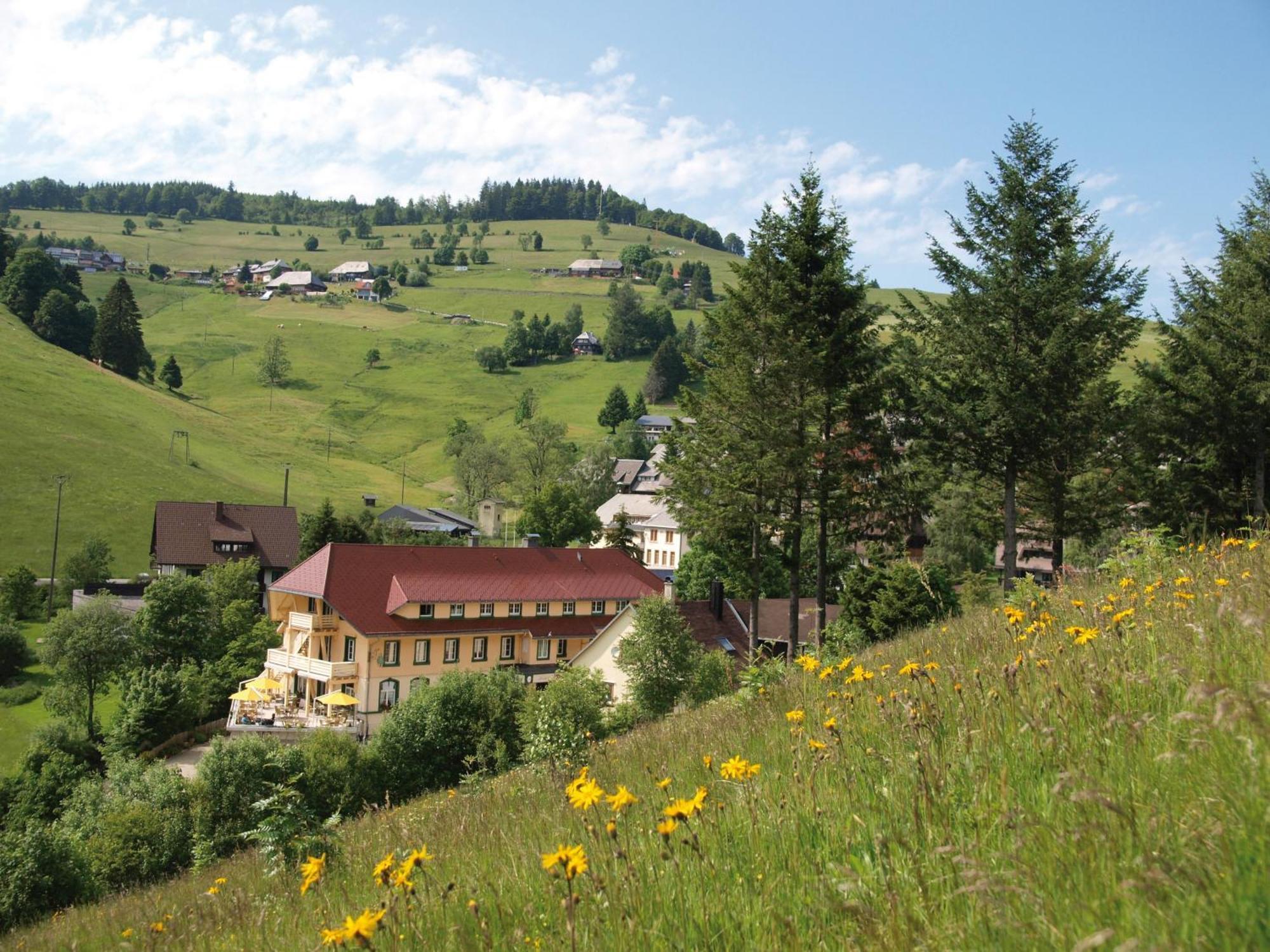 Gruener Baum Naturparkhotel & Schwarzwald-Restaurant ทอดท์เนา ภายนอก รูปภาพ