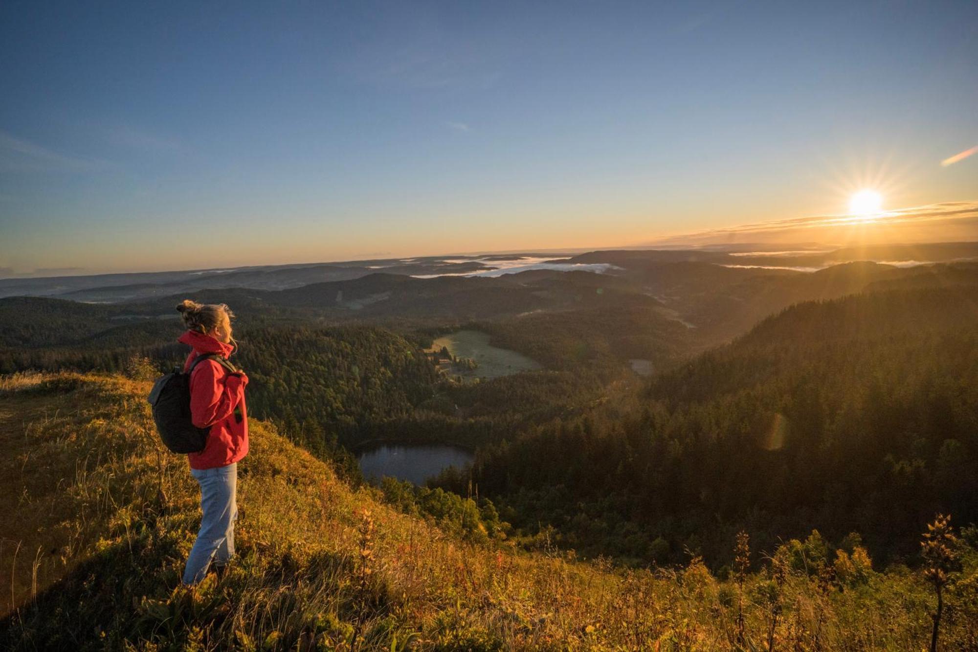 Gruener Baum Naturparkhotel & Schwarzwald-Restaurant ทอดท์เนา ภายนอก รูปภาพ