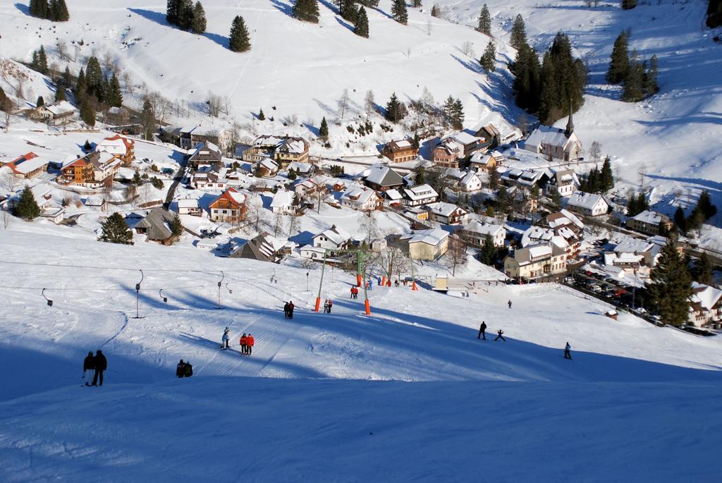Gruener Baum Naturparkhotel & Schwarzwald-Restaurant ทอดท์เนา ภายนอก รูปภาพ