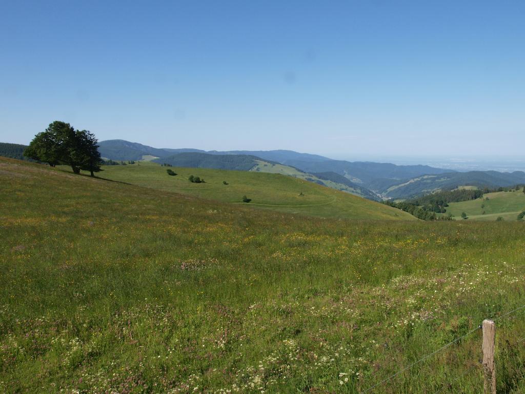 Gruener Baum Naturparkhotel & Schwarzwald-Restaurant ทอดท์เนา ภายนอก รูปภาพ