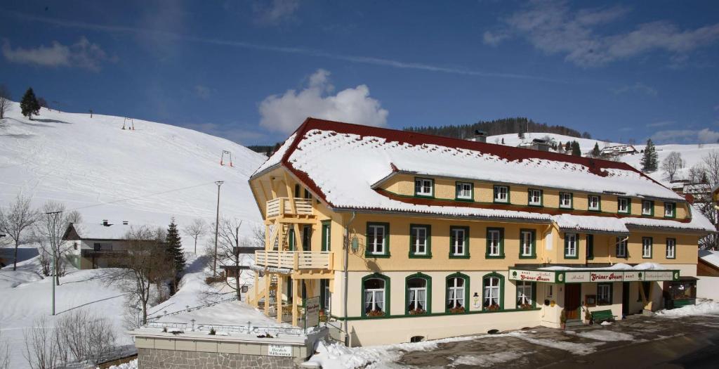 Gruener Baum Naturparkhotel & Schwarzwald-Restaurant ทอดท์เนา ภายนอก รูปภาพ